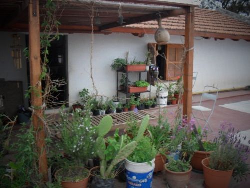 Fotolog de ismaelpepe: Mi Terraza